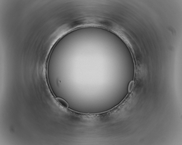 X0000113170813200909181830