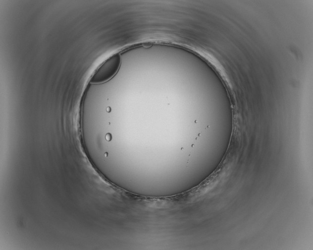 X0000113170815200909181830