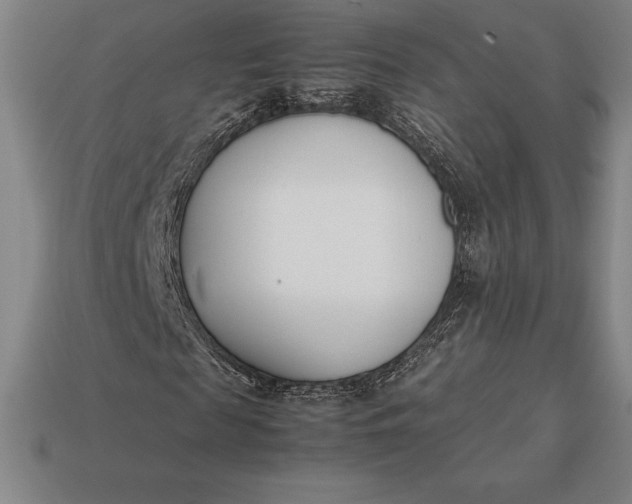 X0000113170817200909181830