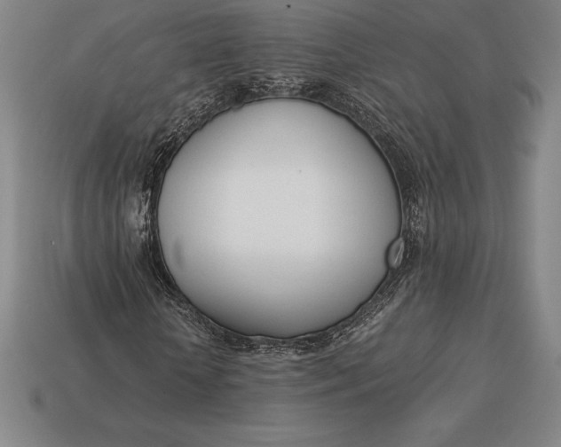 X0000113170818200909181830