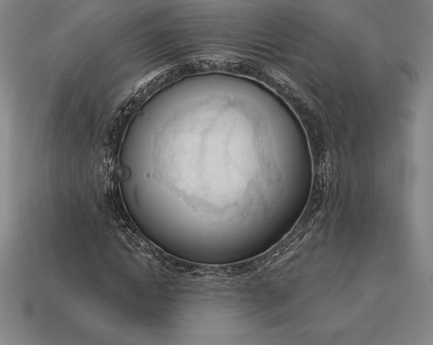 X0000113170822200909181830