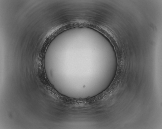 X0000113170823200909181830