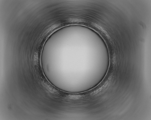 X0000113170825200909181830