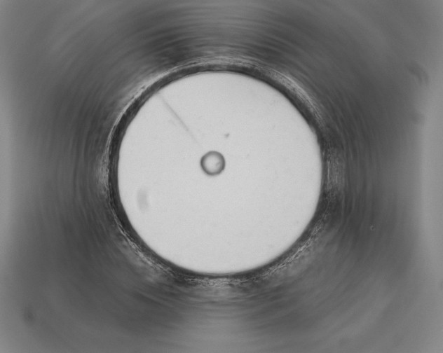 X0000113170828200909181830