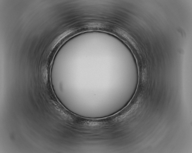 X0000113170829200909181830