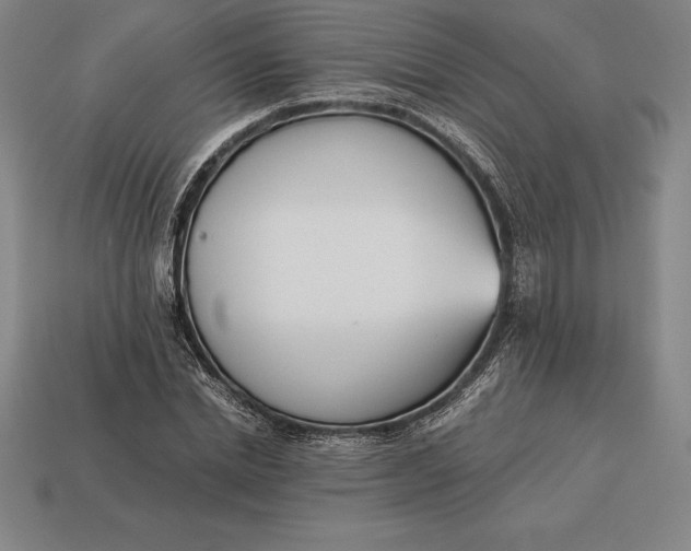 X0000113170830200909181830