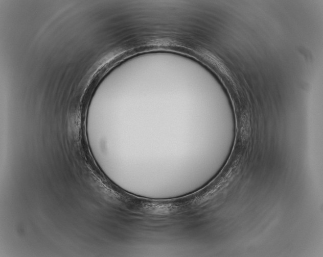 X0000113170831200909181830