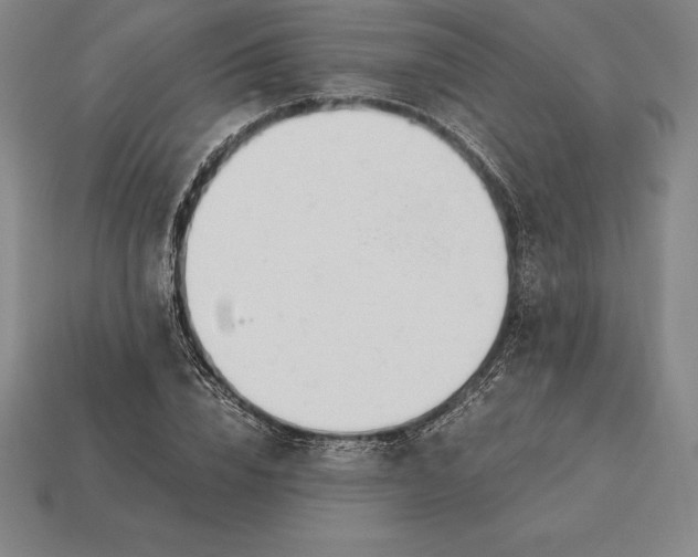 X0000113170832200909181830