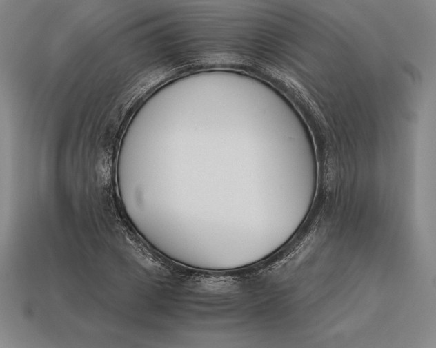 X0000113170833200909181830