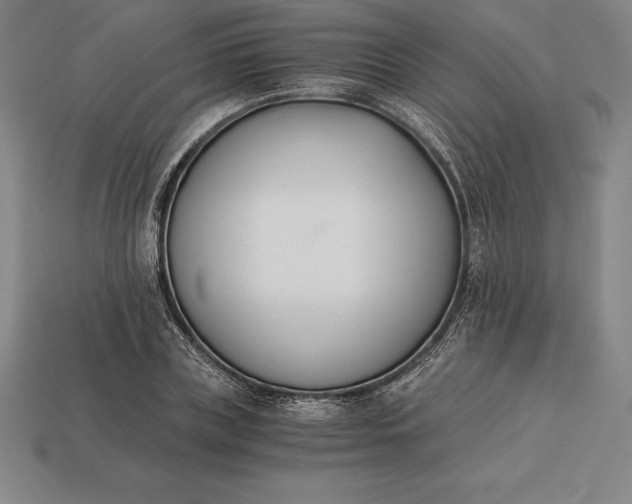 X0000113170835200909181830