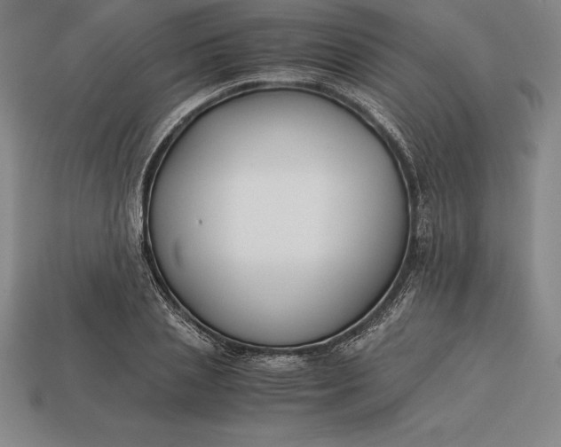 X0000113170837200909181830