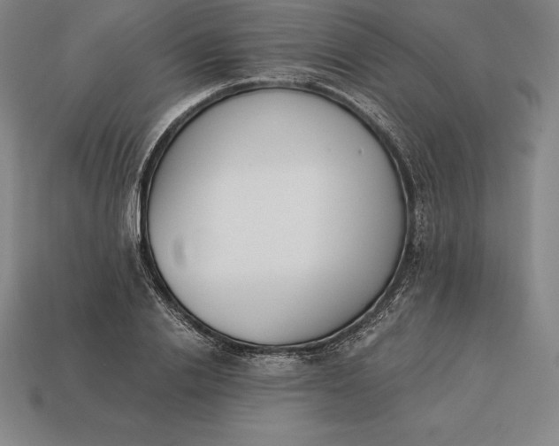 X0000113170838200909181830