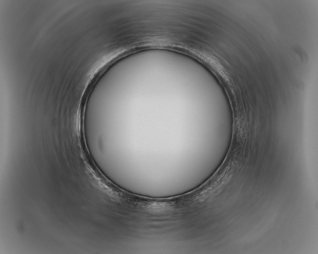 X0000113170839200909181830