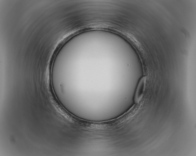 X0000113170840200909181830