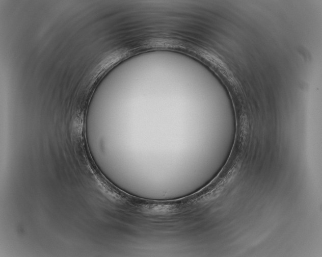 X0000113170841200909181830