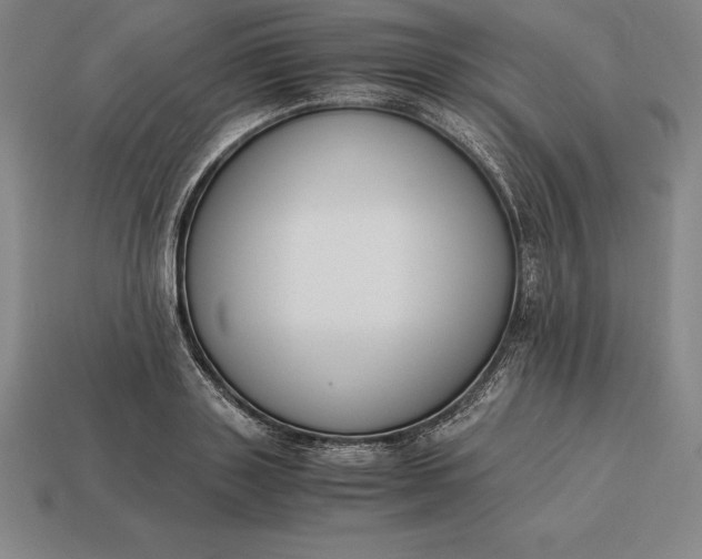 X0000113170843200909181830