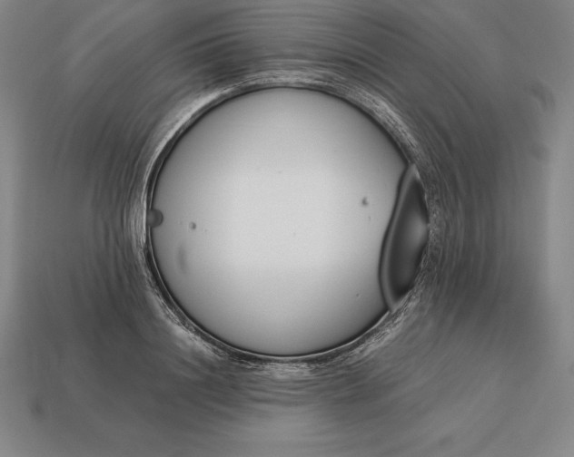 X0000113170844200909181830