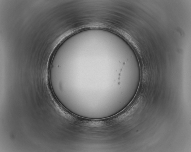 X0000113170845200909181830