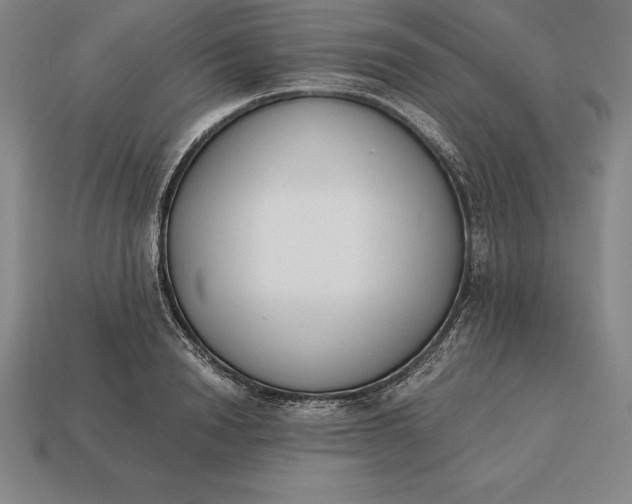 X0000113170846200909181830