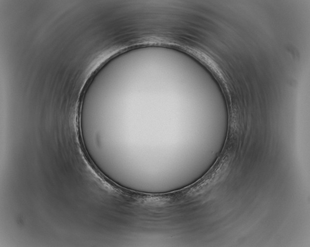 X0000113170847200909181830