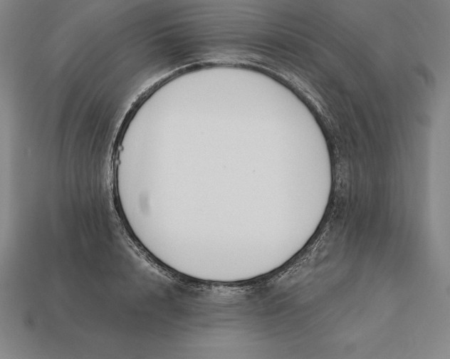 X0000113170848200909181830