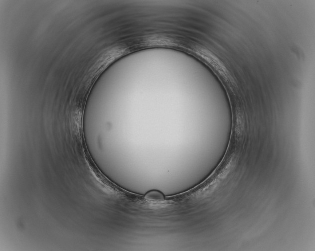 X0000113170849200909181830