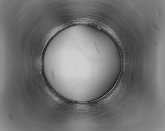 X0000113170850200909181830