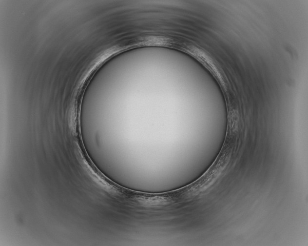 X0000113170851200909181830