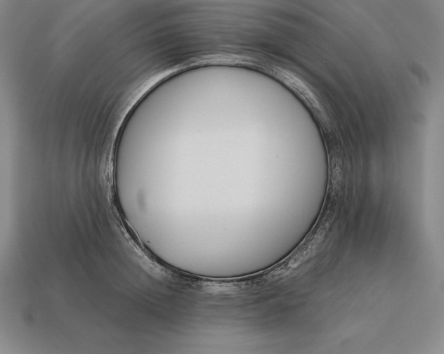 X0000113170852200909181830