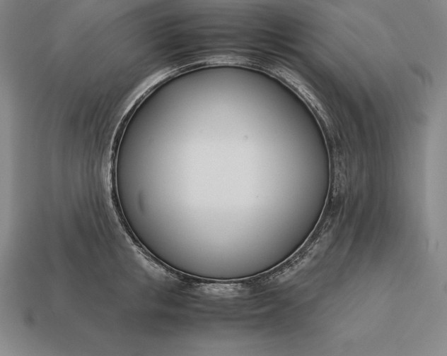 X0000113170853200909181830