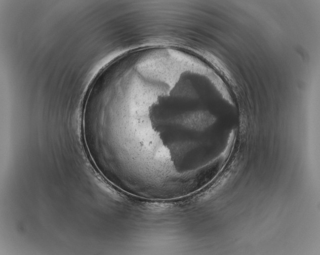 X0000113170854200909181830