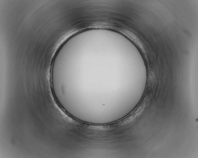 X0000113170855200909181830