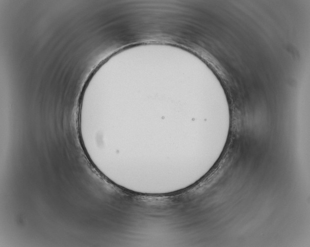 X0000113170856200909181830