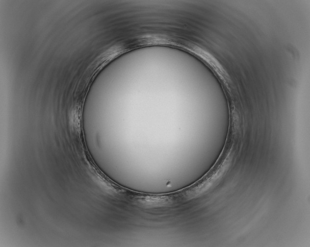 X0000113170857200909181830