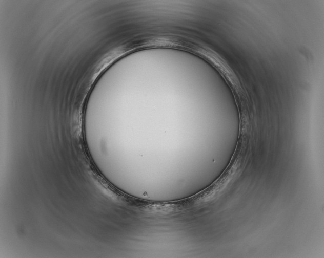 X0000113170858200909181830