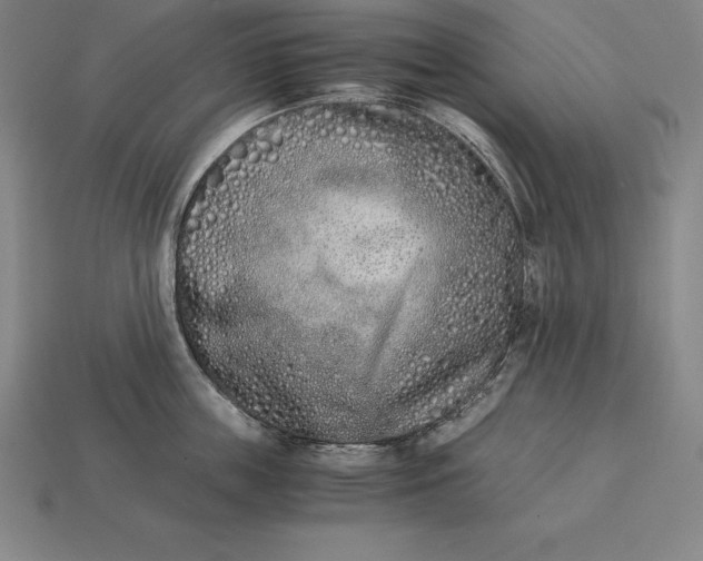 X0000113170859200909181830