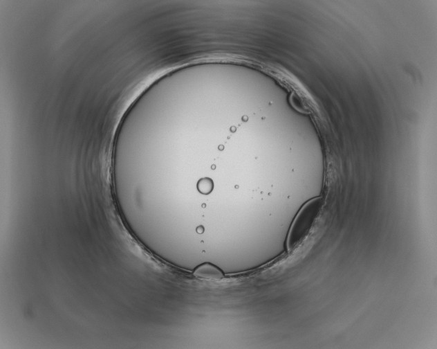 X0000113170860200909181830