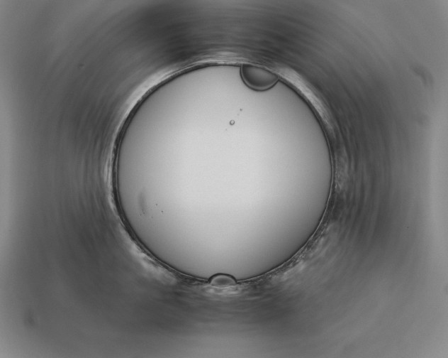 X0000113170861200909181830