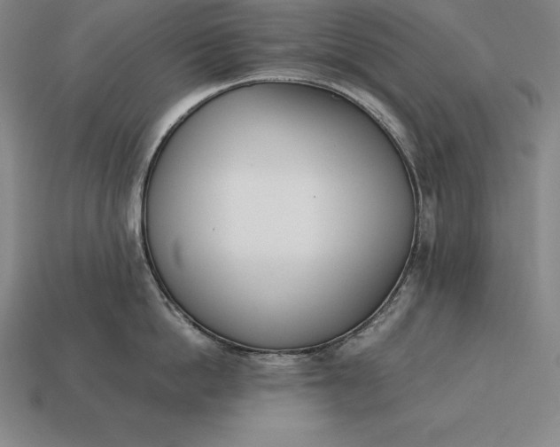 X0000113170862200909181830