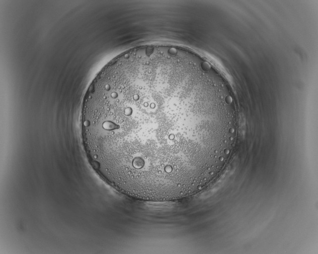 X0000113170863200909181830