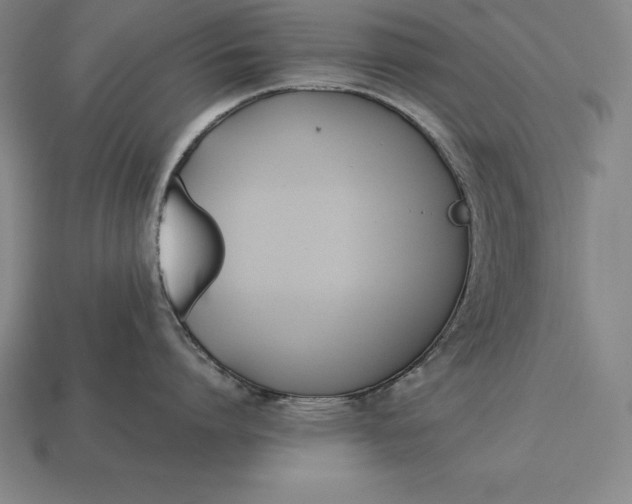 X0000113170864200909181830