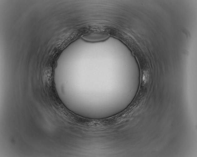 X0000113170867200909181830