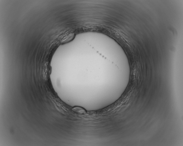 X0000113170868200909181830