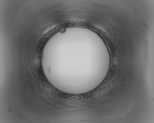 X0000113170869200909181830