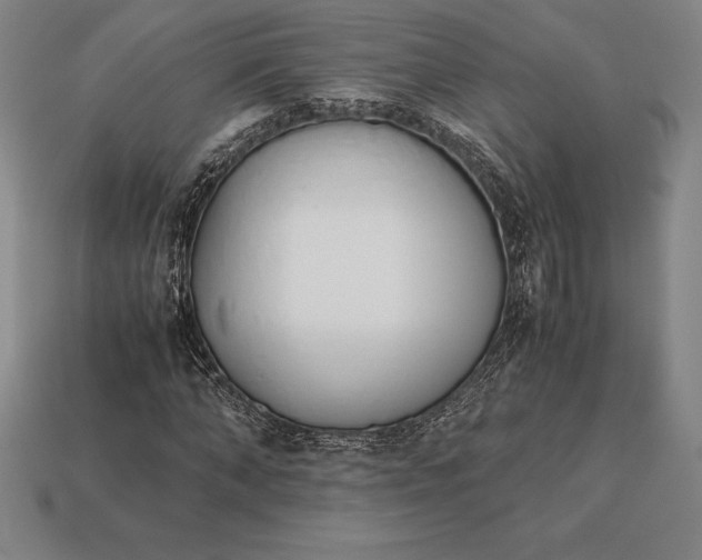 X0000113170870200909181830