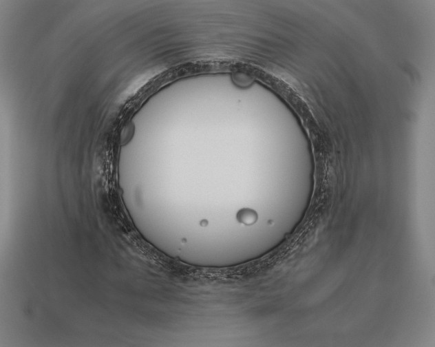 X0000113170871200909181830