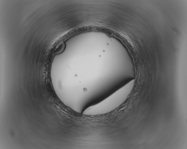 X0000113170872200909181830