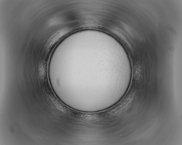 X0000113170874200909181829