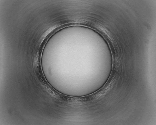 X0000113170875200909181829