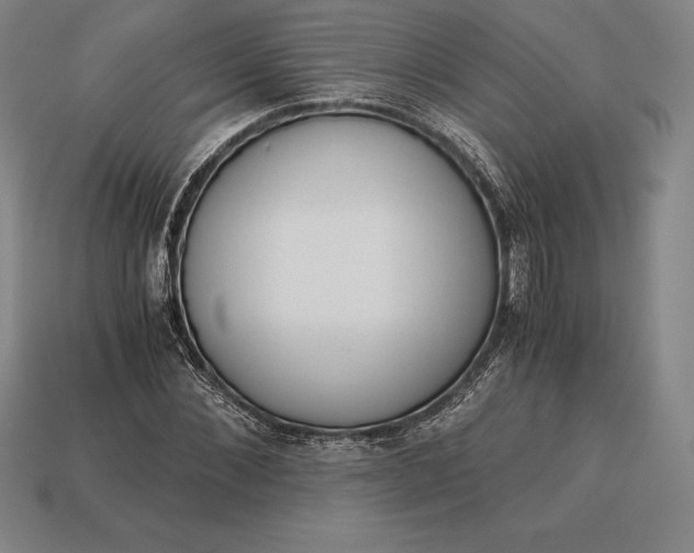 X0000113170876200909181829